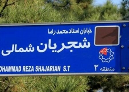 اقدام شرم‌آور عده‌ای در پایین کشیدن تابلوی خیابان شجریان