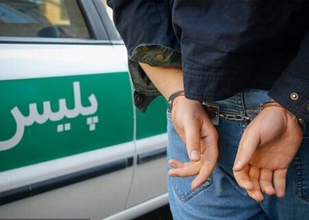 دستگیری عامل حمله به کنسرت گرشا